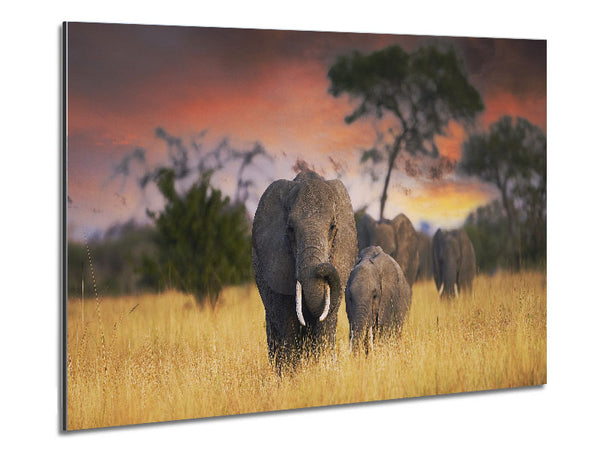 Elephants In Savannah Metal Print