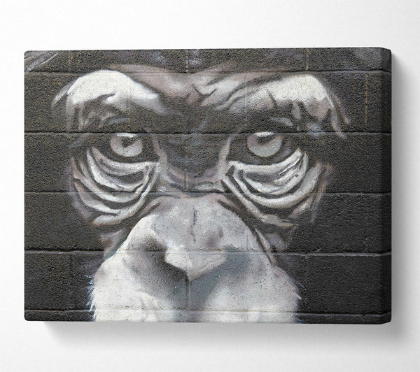  A Canvas Print of The Chimp Eyes Canvas Wall Art