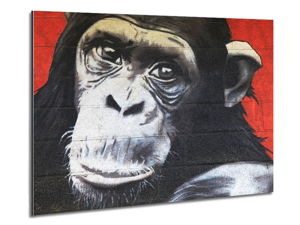 The Chimp On Red Metal Print