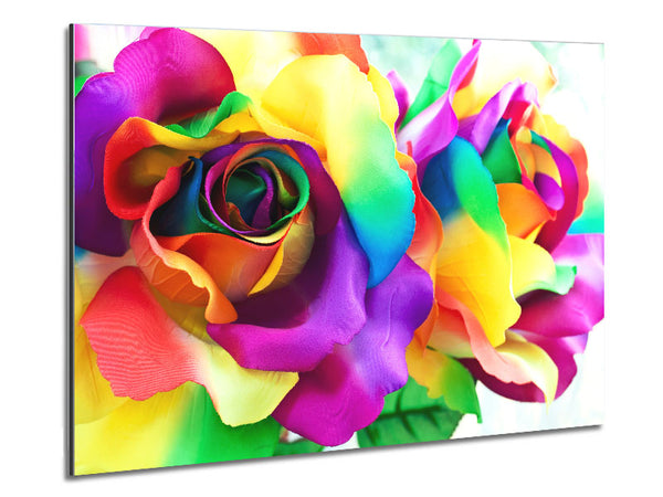 Multi Coloured Roses Close Metal Print