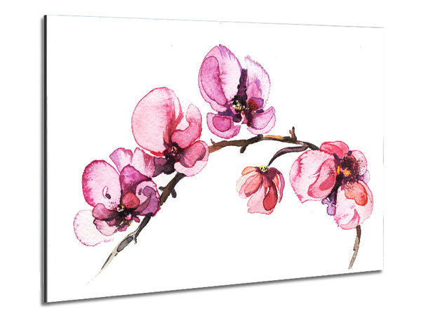The Pink Orchid Branch Single Metal Print