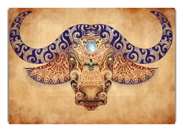 The Ethnic Ox