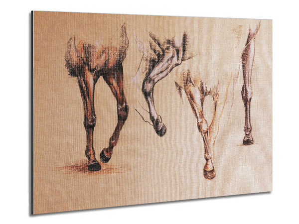 Bottom End Of Horses Metal Print