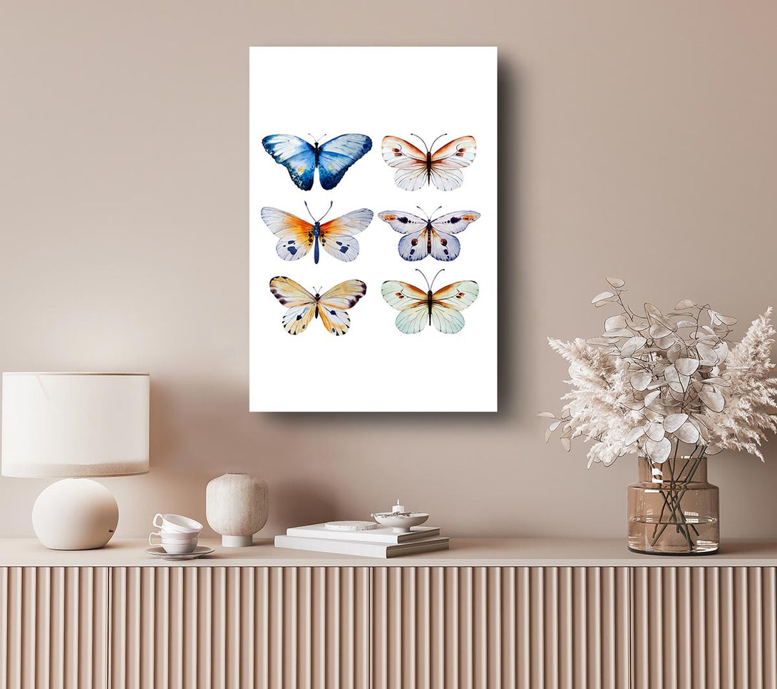  A Canvas Print of Butterfly Breeds Canvas Art