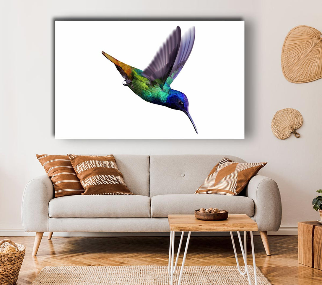  A Canvas Print of Hummingbird Colours Canvas Wall Art