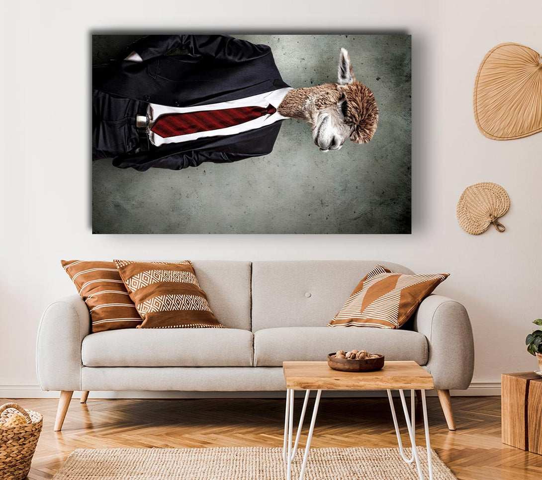  A Canvas Print of Business Llama Canvas Print