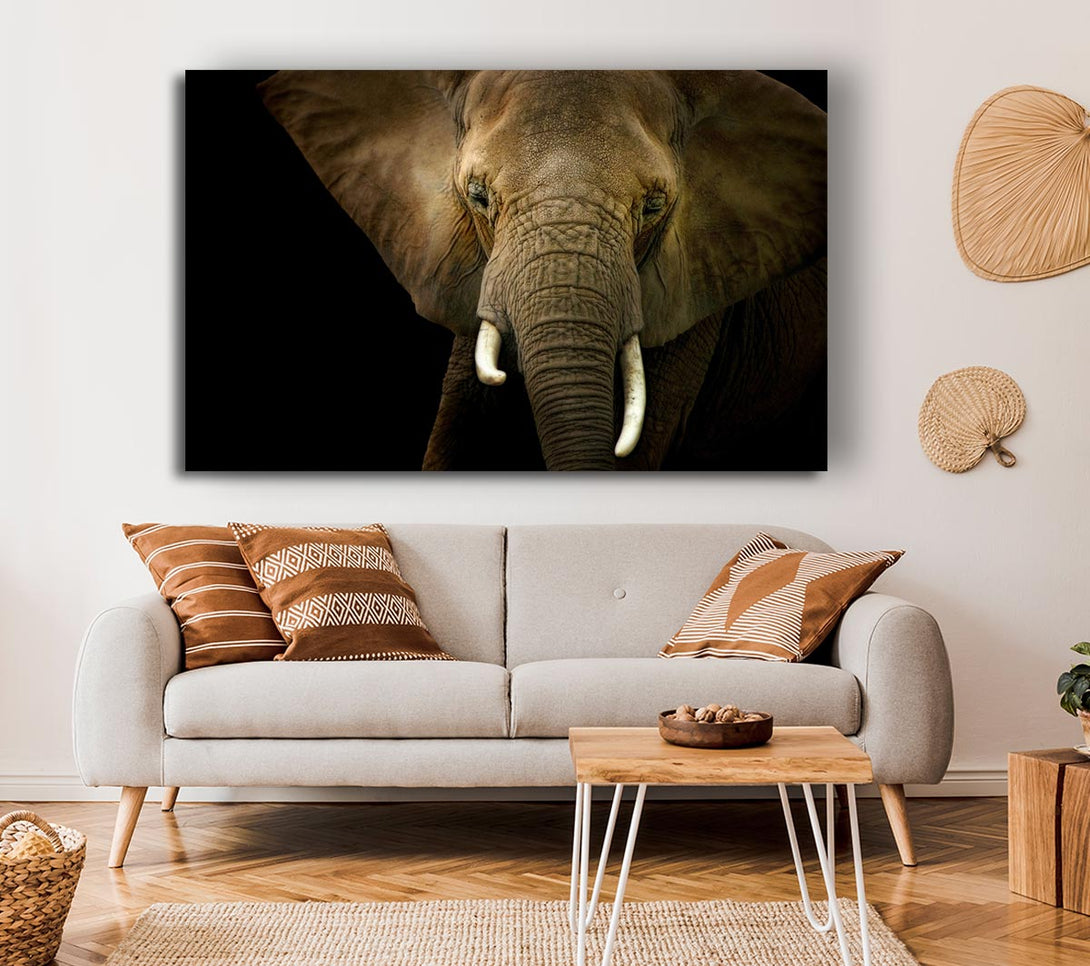  A Canvas Print of Stunning Elephant Face Canvas Wall Art