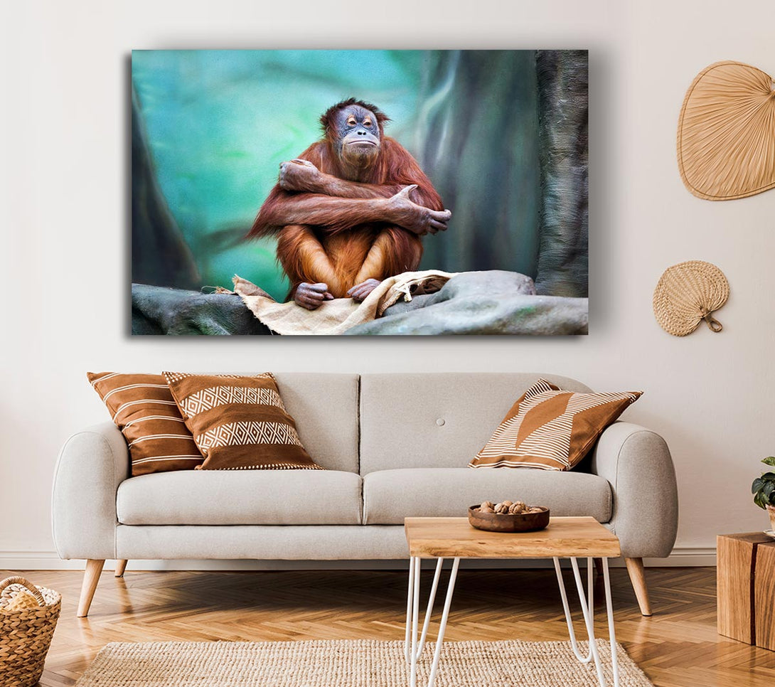  A Canvas Print of Orangutan Forest Canvas Print