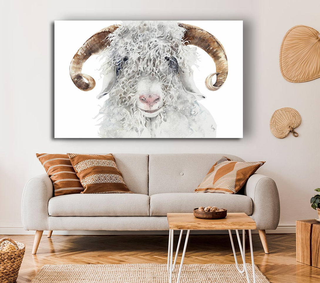  A Canvas Print of Sheep Beauty Canvas Wall Art