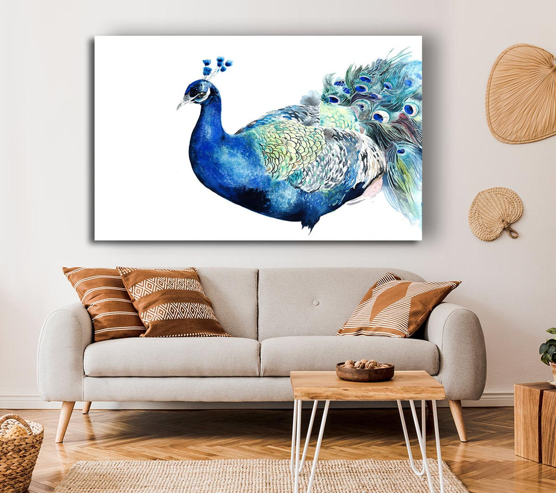  A Canvas Print of Peacock Blues Canvas Print