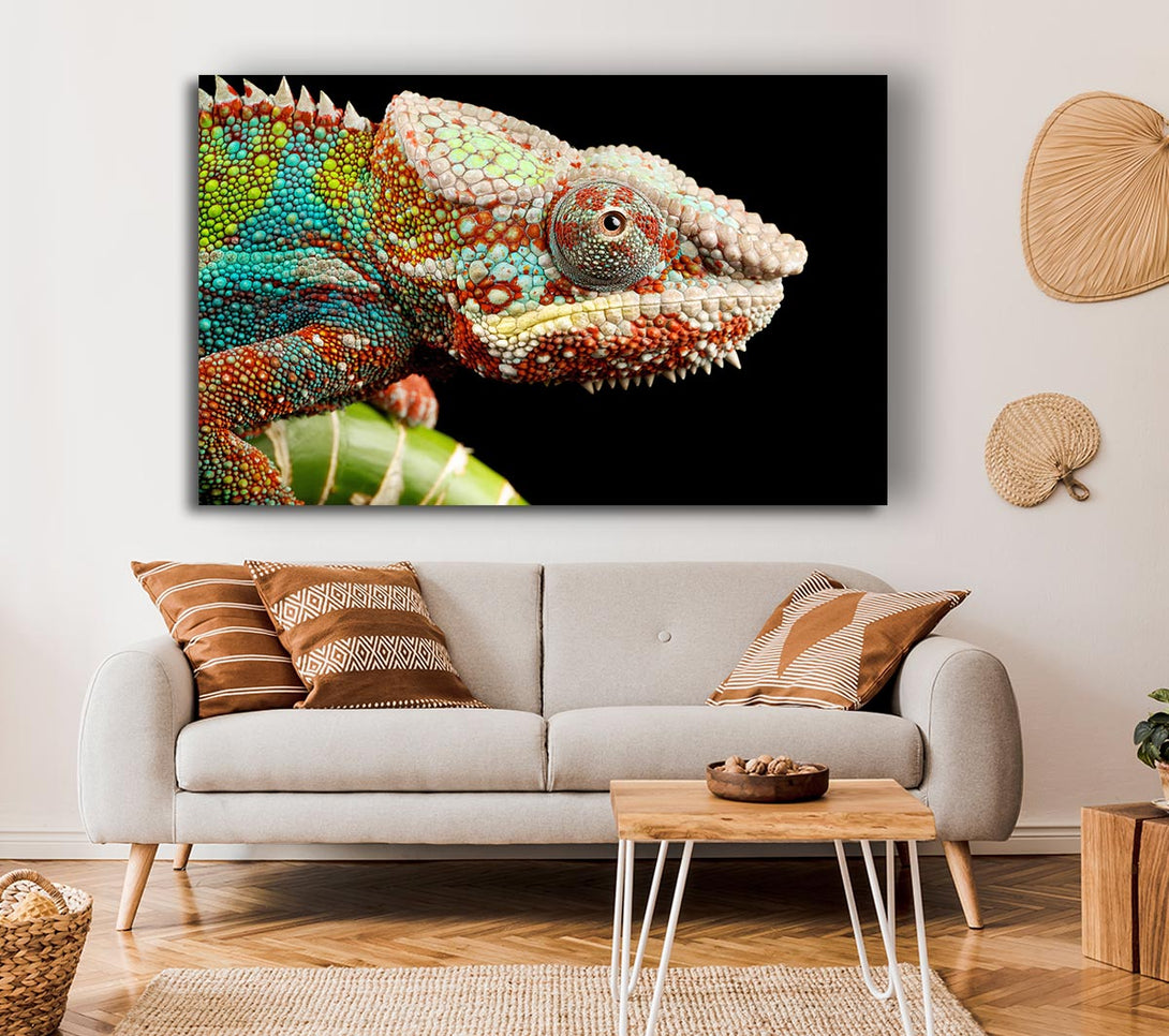  A Canvas Print of Chameleon Face Canvas Print