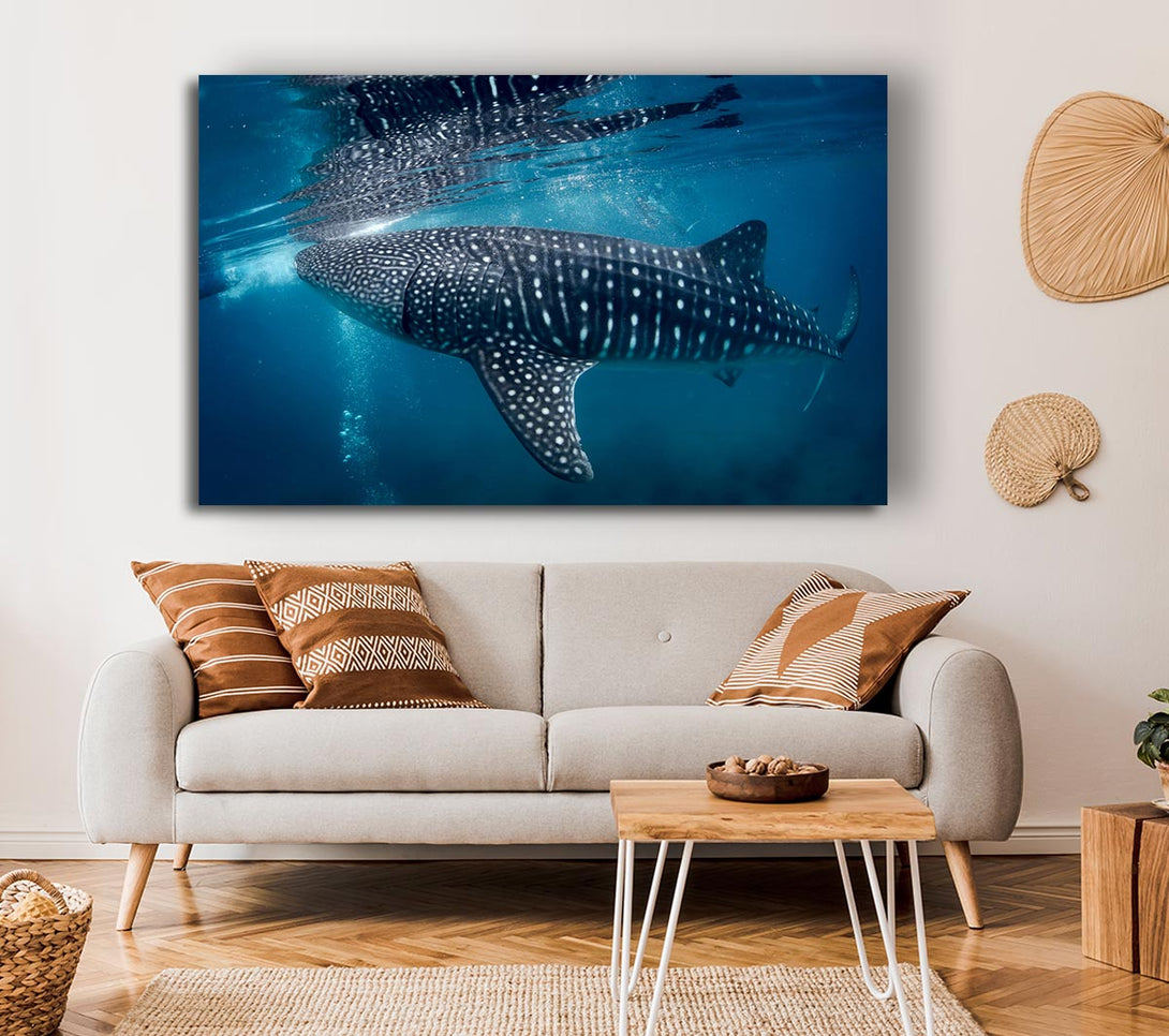  A Canvas Print of Spotted Whale Shark Canvas Print