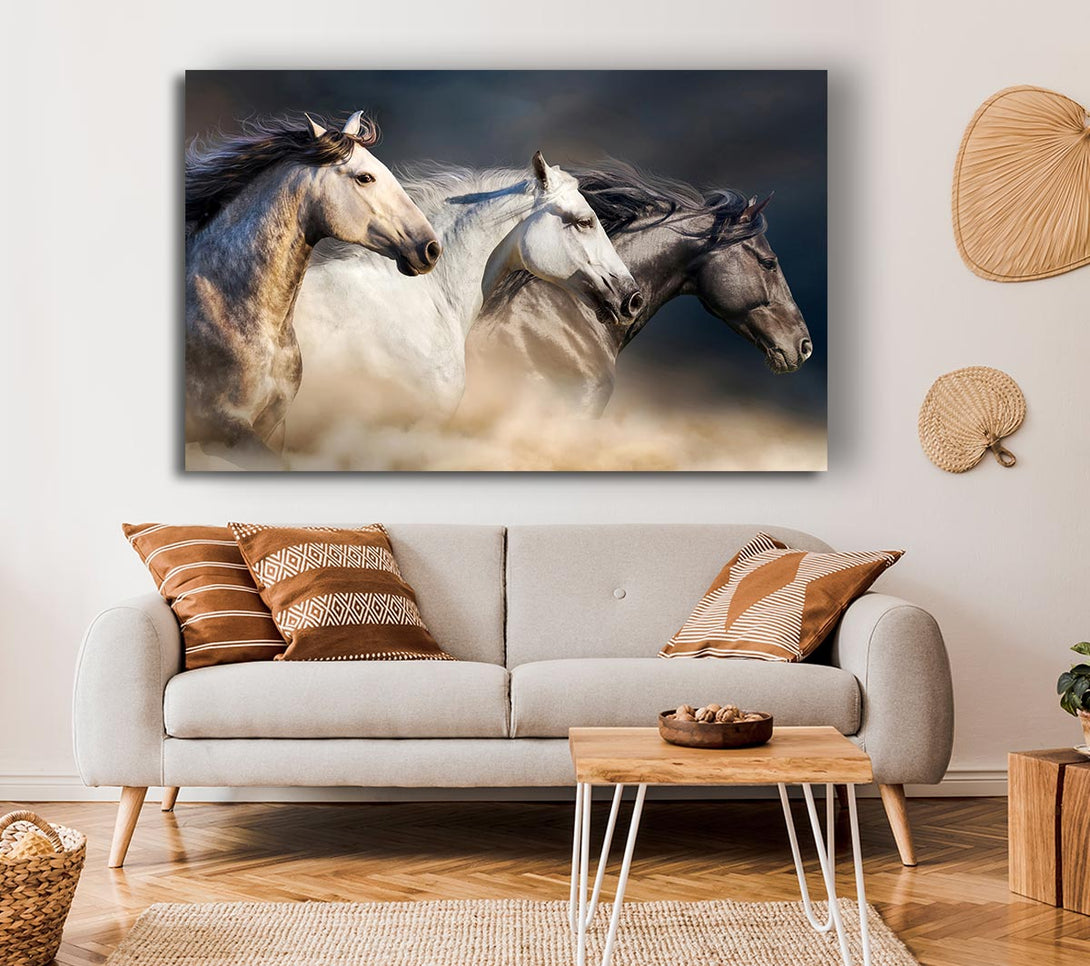  A Canvas Print of Wild Horse Trio Canvas Print