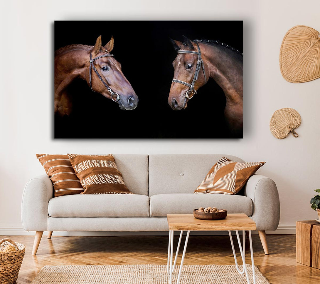  A Canvas Print of Horse Duo Canvas Print