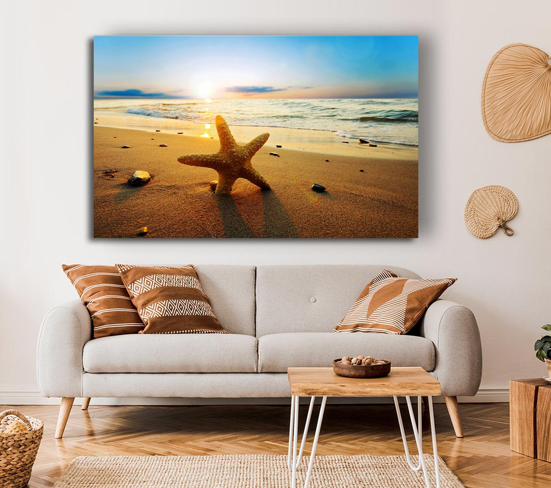  A Canvas Print of Starfish Sun Glow Canvas Print