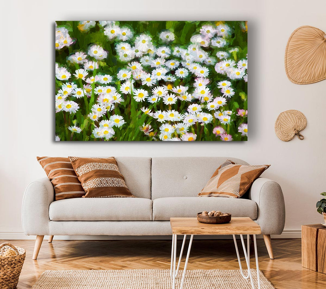  A Canvas Print of White Daisy Heaven Canvas Print