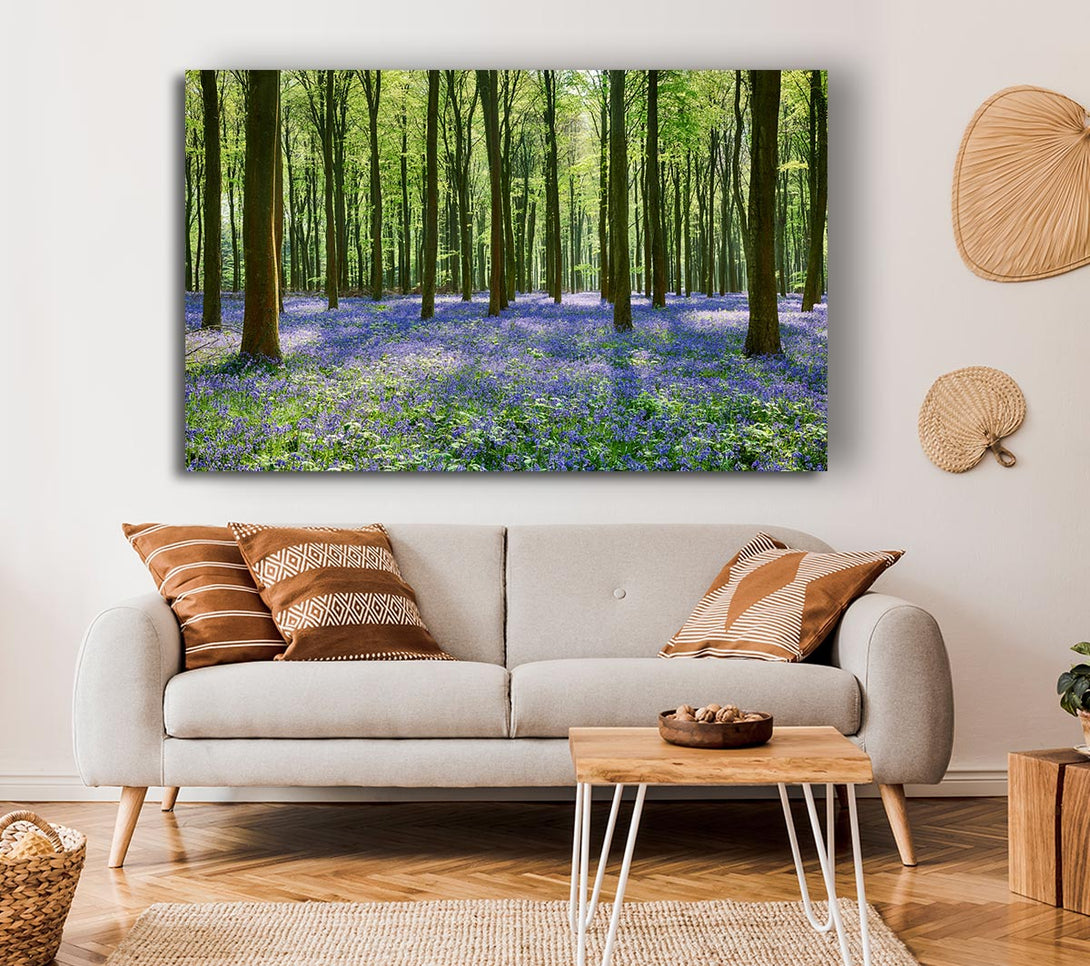  A Canvas Print of Mystical Bluebell Woodland Canvas Print