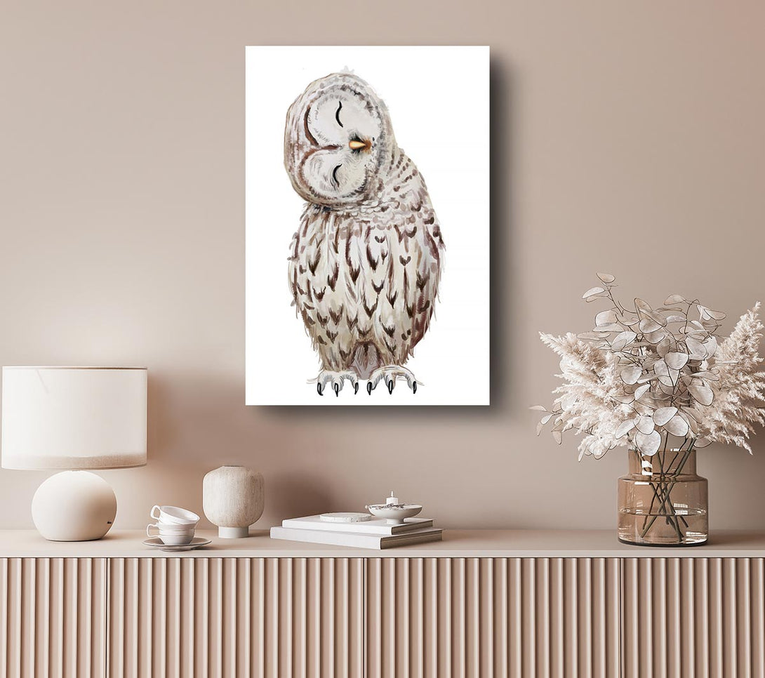  A Canvas Print of Owl Feathers Canvas Print