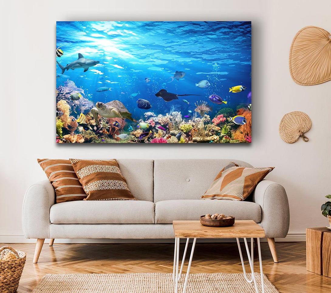  A Canvas Print of Creatures in the reef Canvas Print