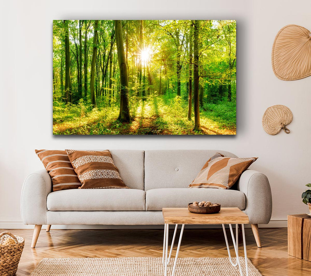  A Canvas Print of Green forest beauty Canvas Print