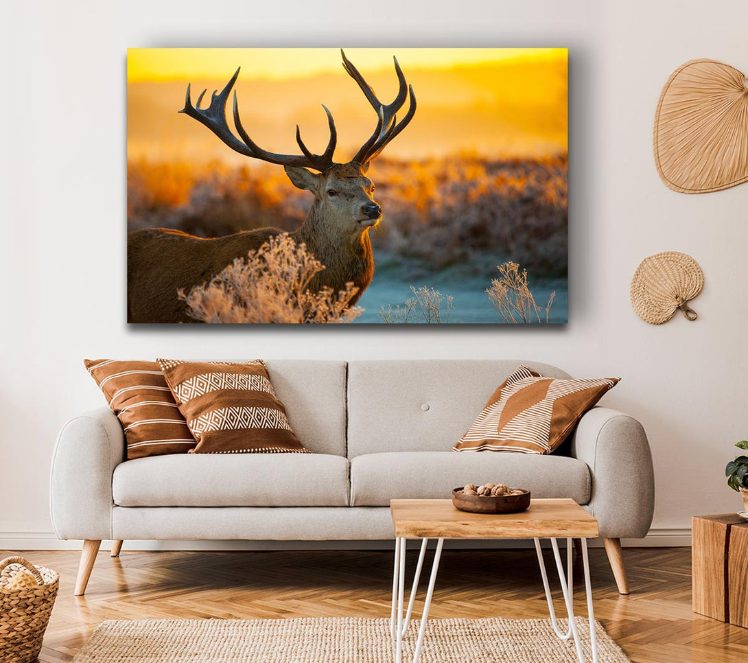  A Canvas Print of Crisp winters stag Canvas Art
