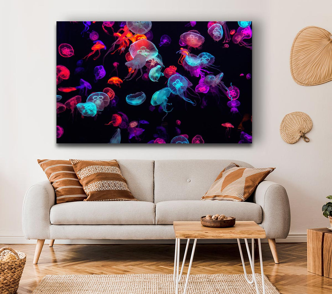  A Canvas Print of Neon Jellyfish frenzy Canvas Print