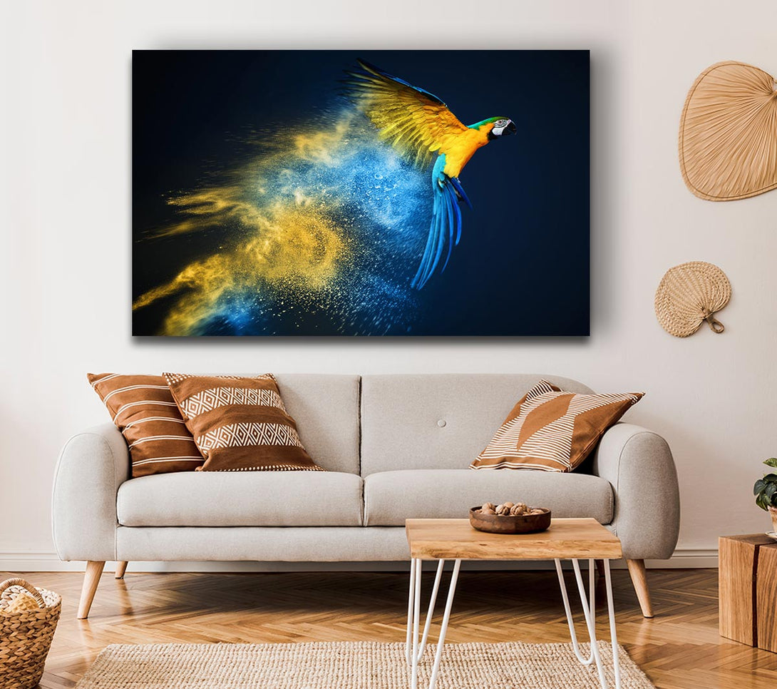  A Canvas Print of powder parrot take off Canvas Wall Art