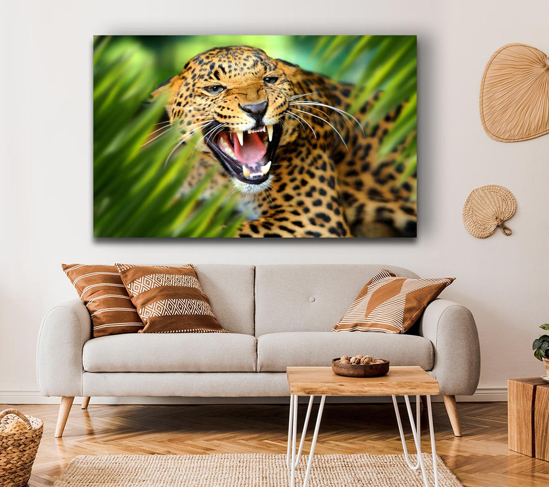  A Canvas Print of Fierce leopard in the grass Canvas Print