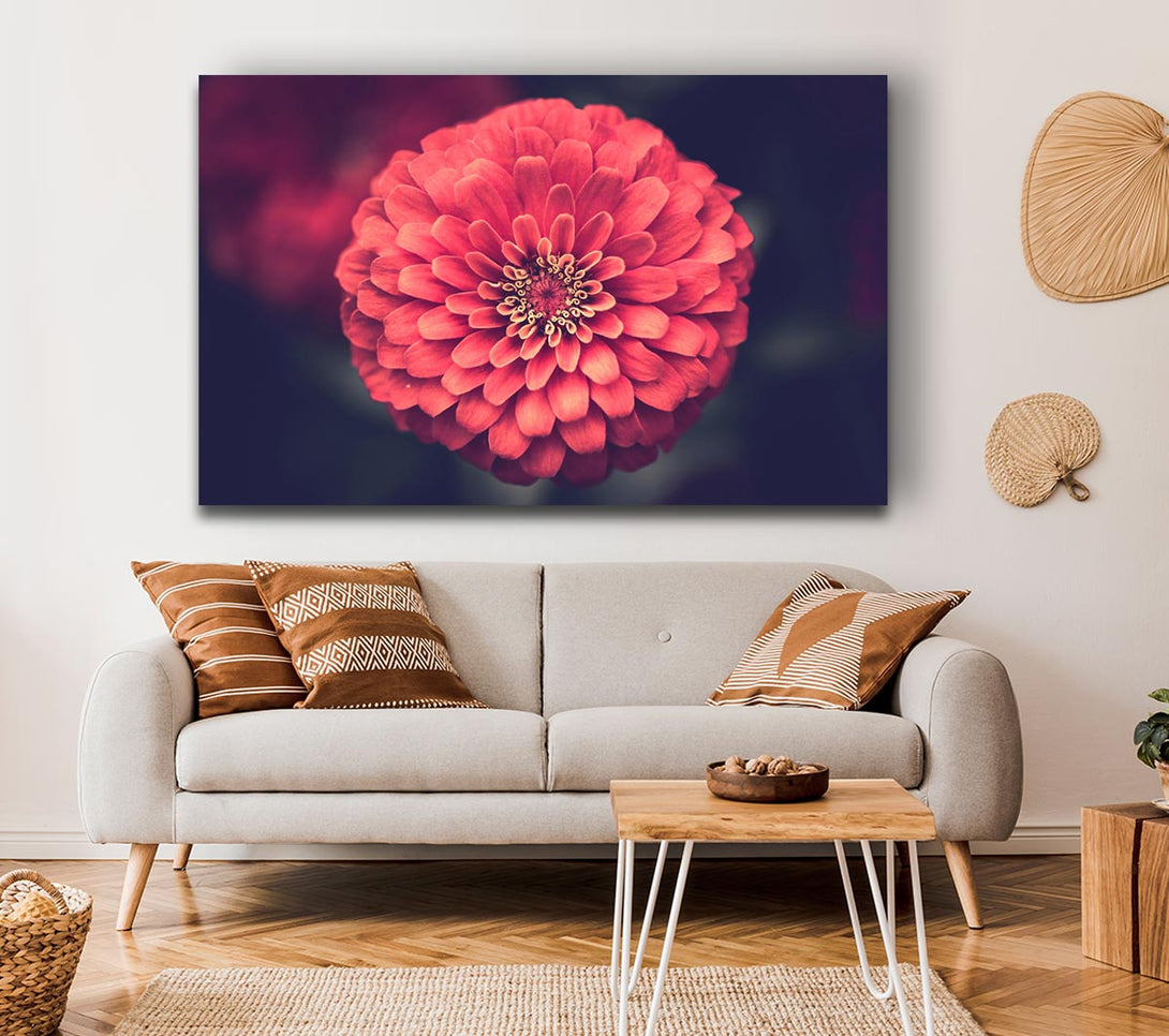  A Canvas Print of Circular flower perfectly balanced Canvas Wall Art