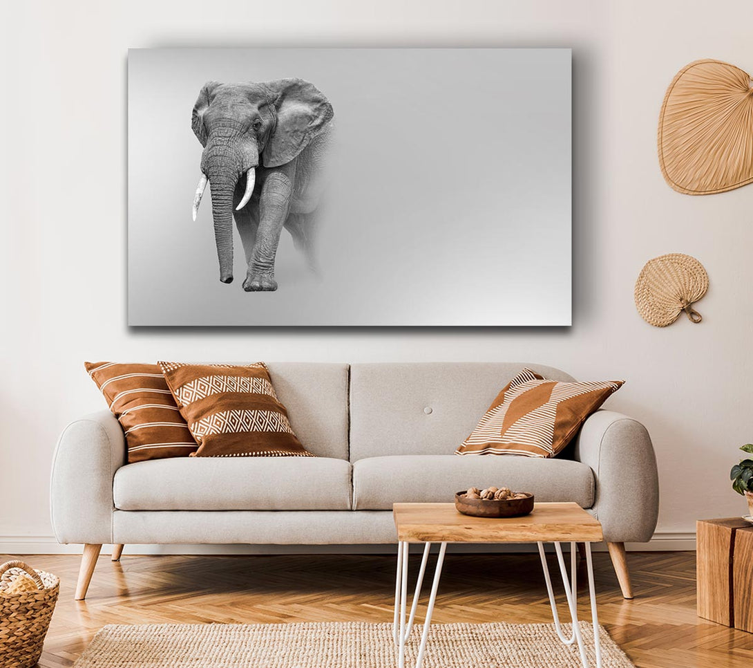  A Canvas Print of Elephant In The Mist Canvas Wall Art