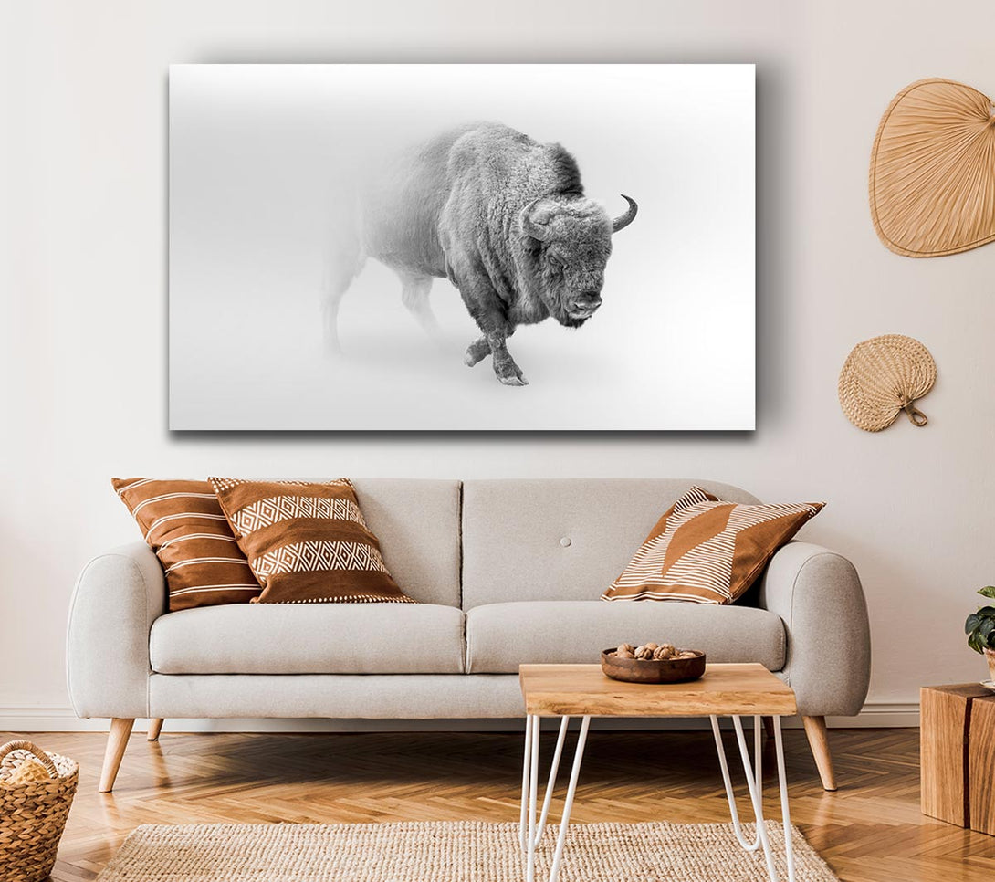 A Canvas Print of Bison In The Mist Canvas Print