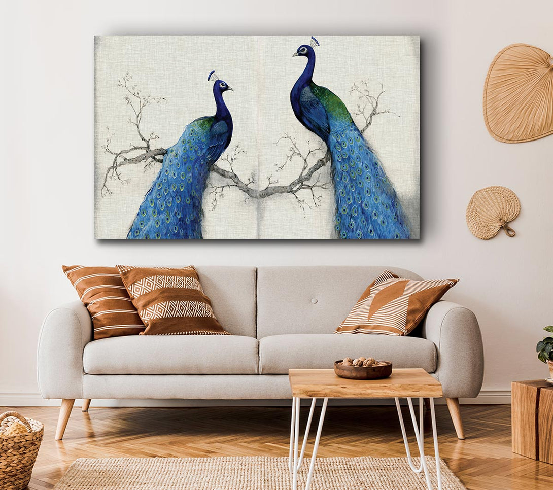  A Canvas Print of The Peacock Duo Canvas Wall Art