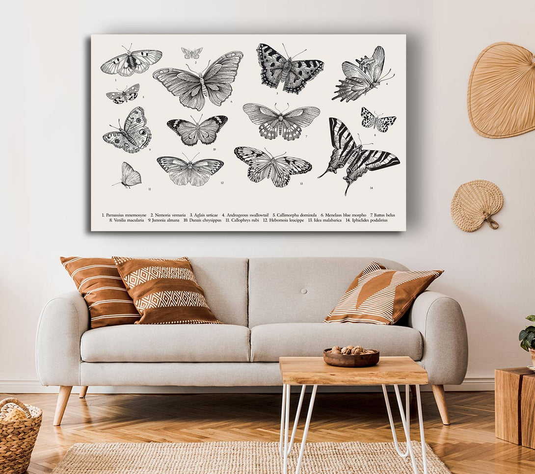  A Canvas Print of British Butterflies Canvas Art