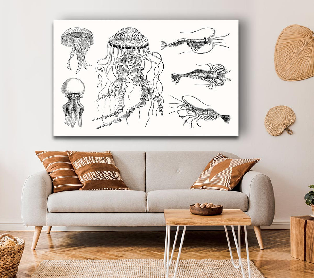  A Canvas Print of Jellyfish And Shrimp Canvas Wall Art