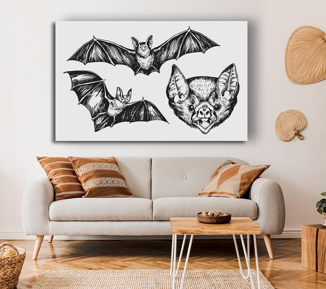  A Canvas Print of The Trio Of Bat Illustrations Canvas Art