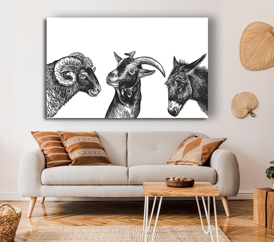  A Canvas Print of Goat Sheep Donkey Canvas Art
