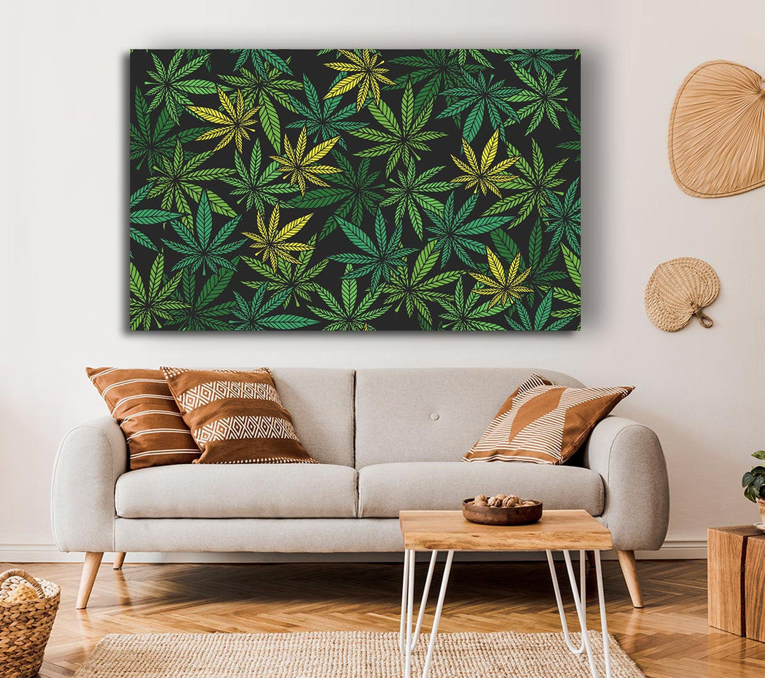  A Canvas Print of Cannabis Leaves Canvas Print