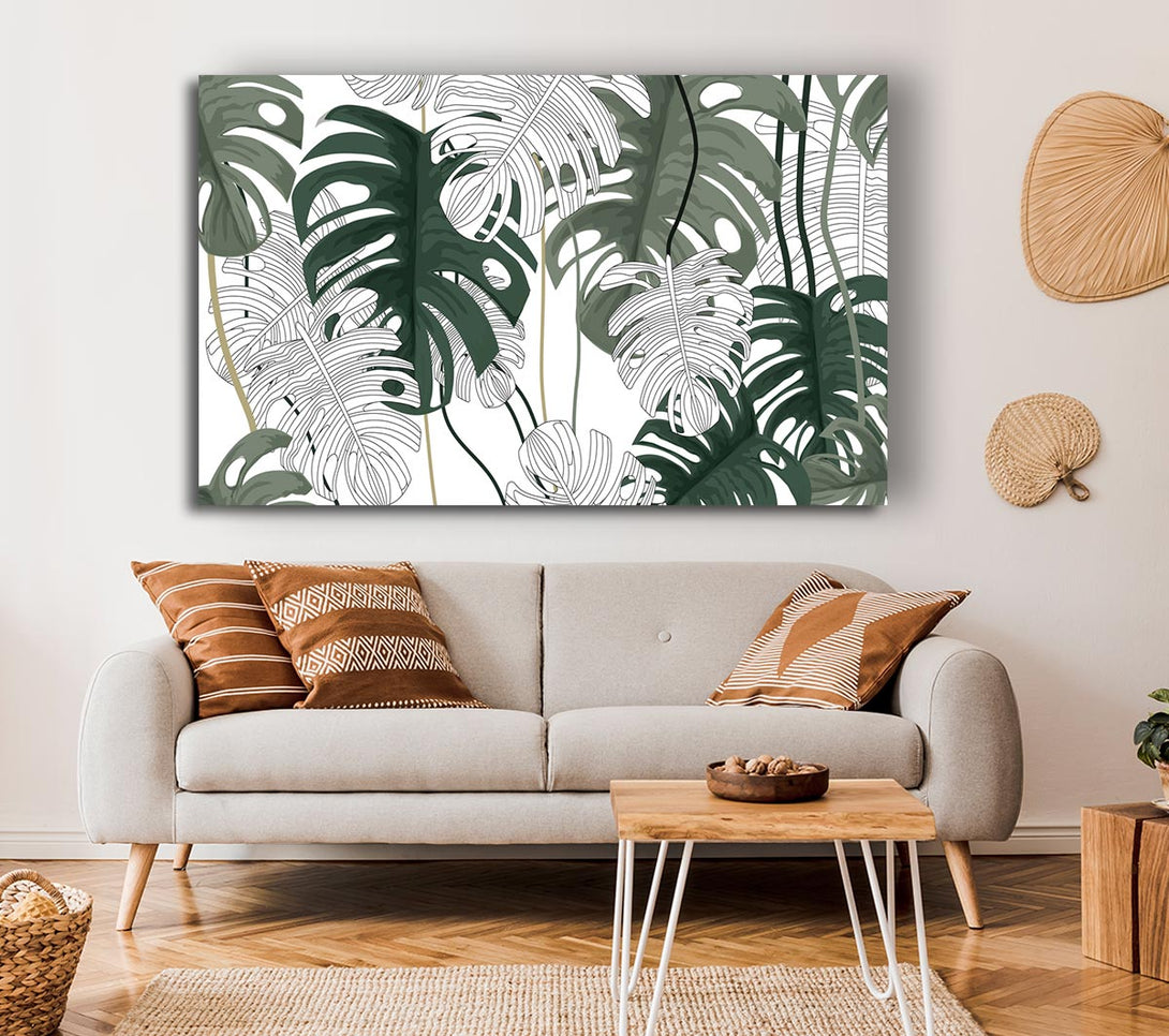  A Canvas Print of Cheese Plant Leaves Canvas Wall Art