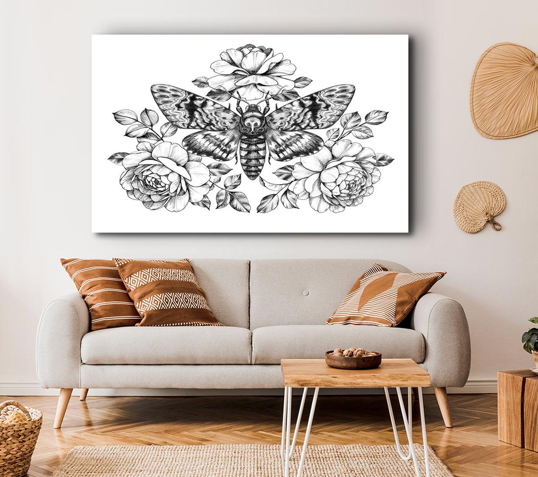  A Canvas Print of Death Head Moth Canvas Wall Art