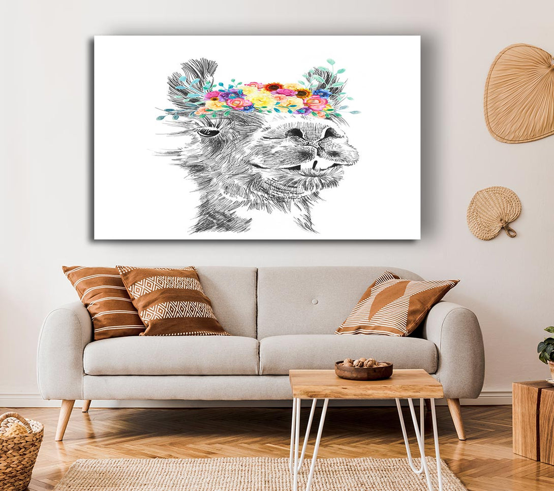  A Canvas Print of The Pretty Camel Canvas Art
