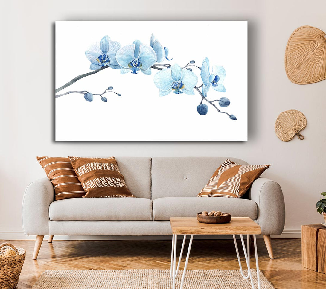  A Canvas Print of The Blue Orchid Curve Canvas Art