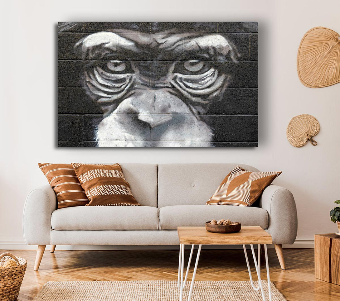  A Canvas Print of The Chimp Eyes Canvas Wall Art
