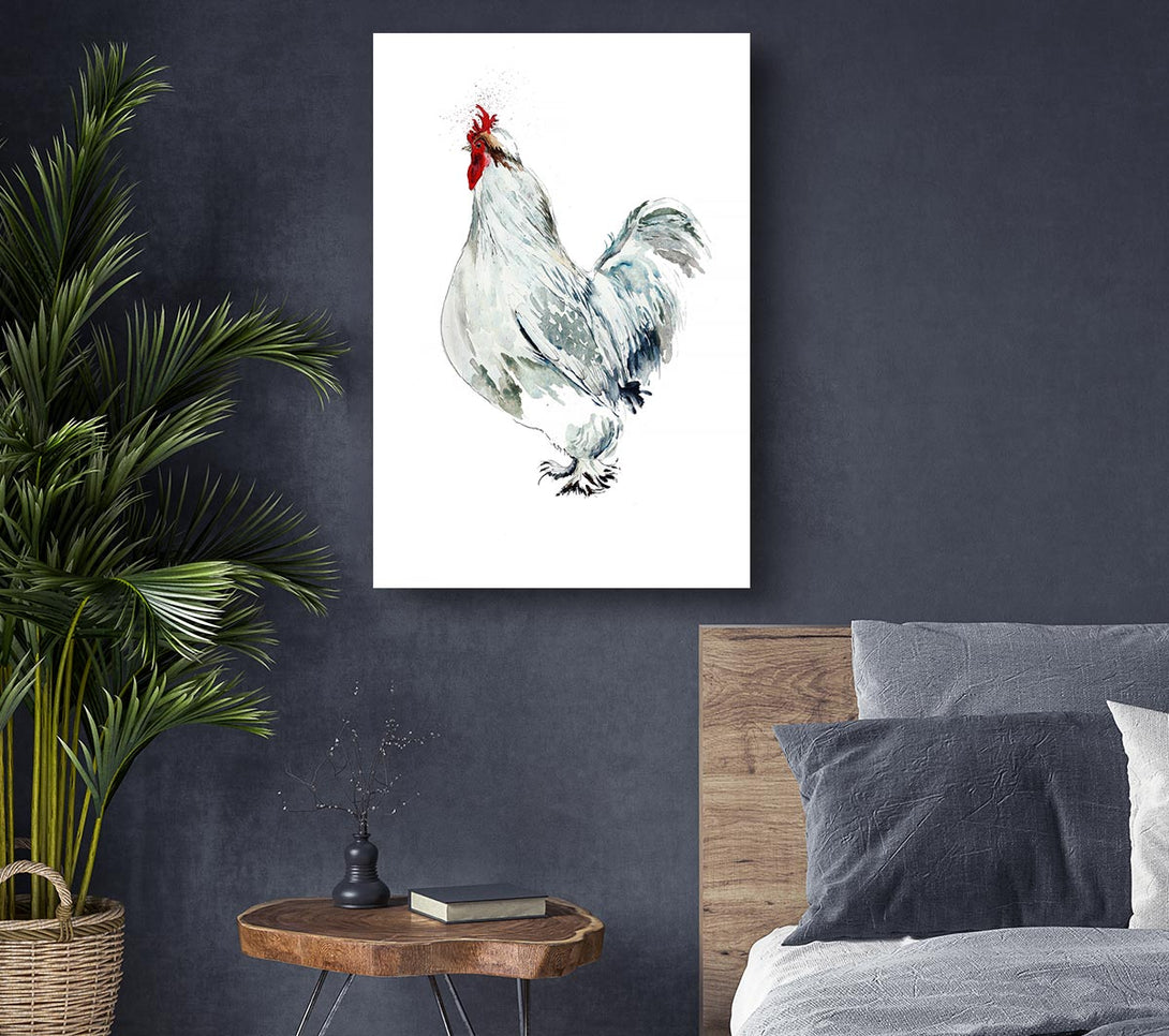  A Canvas Print of White Hen Canvas Wall Art