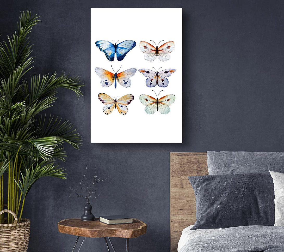  A Canvas Print of Butterfly Breeds Canvas Art