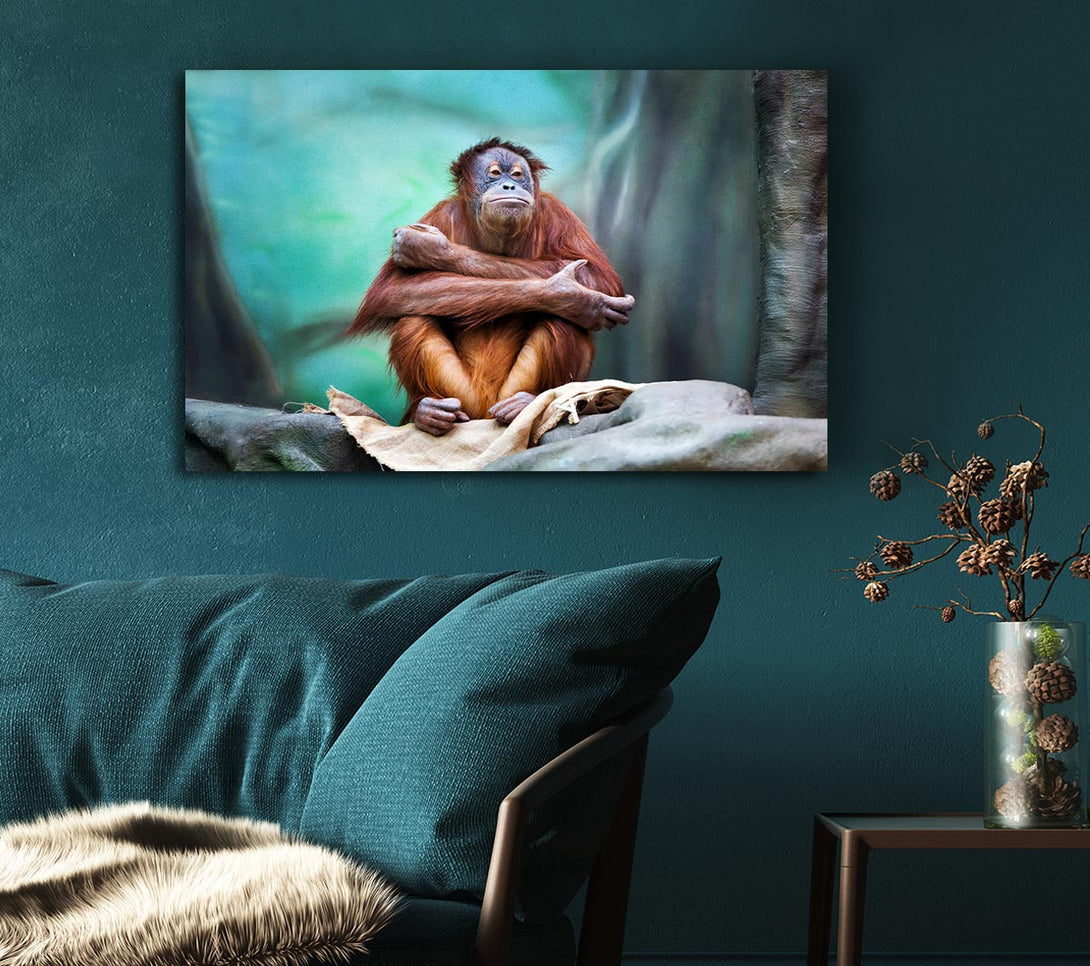  A Canvas Print of Orangutan Forest Canvas Print