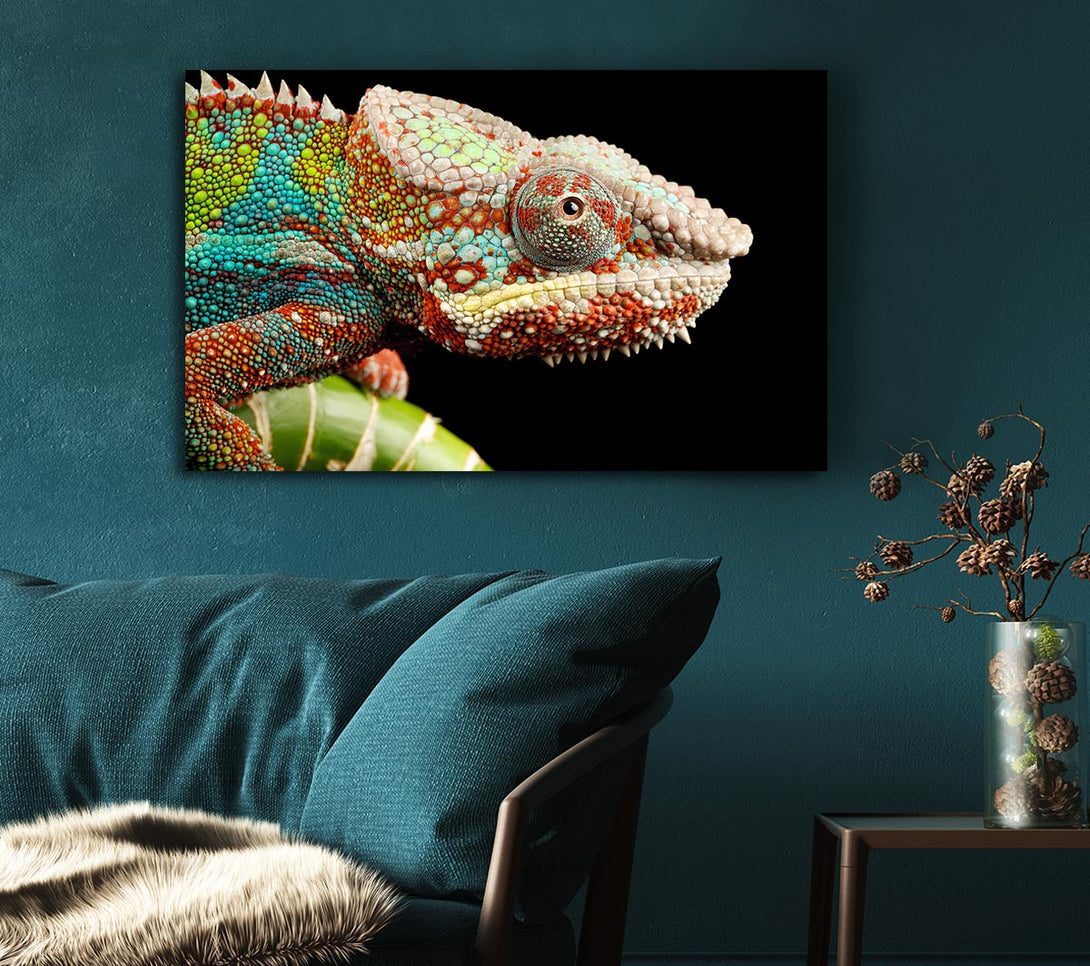  A Canvas Print of Chameleon Face Canvas Print