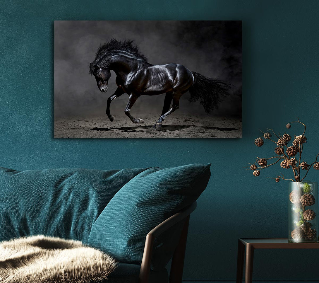  A Canvas Print of Black Beauty Horse Canvas Print