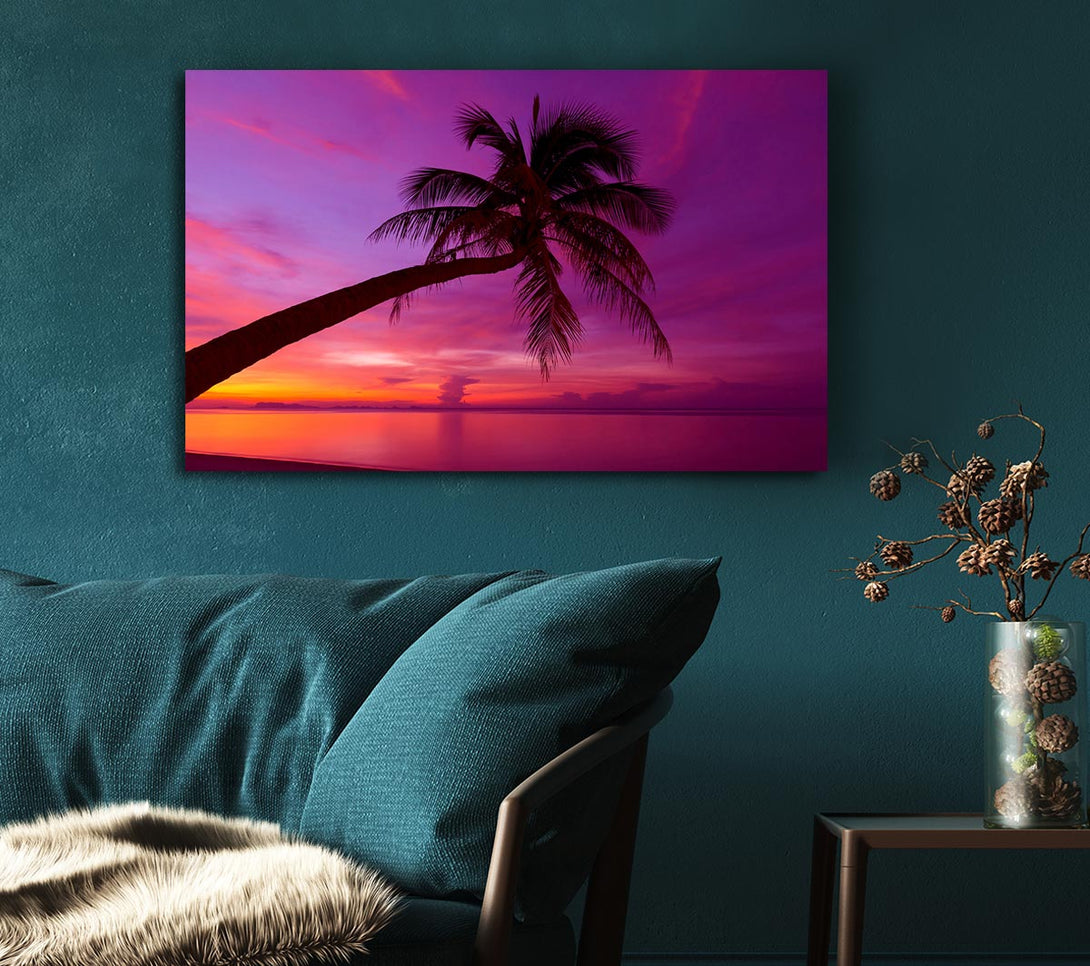  A Canvas Print of Palm Tree Skies Canvas Print