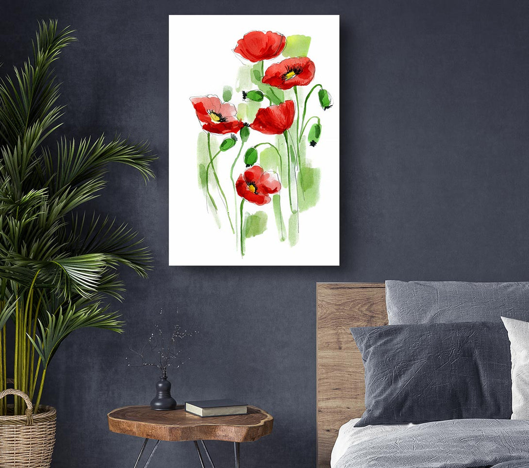  A Canvas Print of Poppies In Bloom Canvas Print