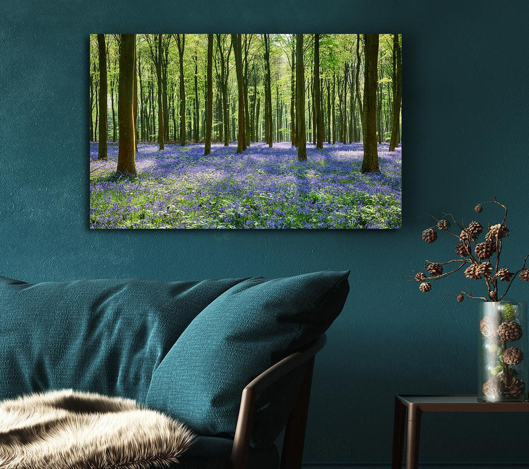  A Canvas Print of Mystical Bluebell Woodland Canvas Print